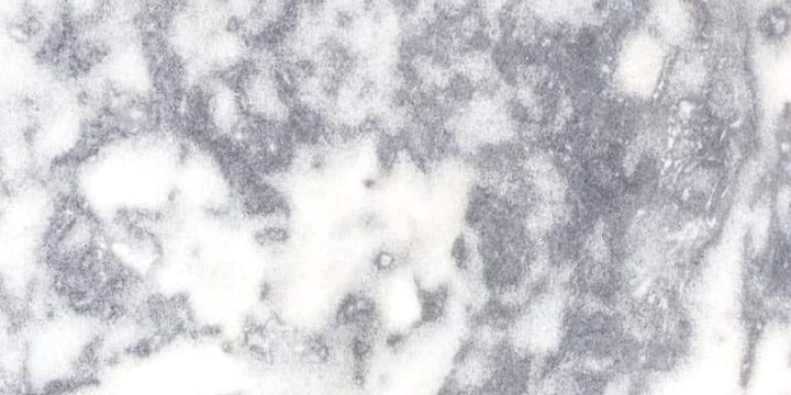 Aegean Dalmatian