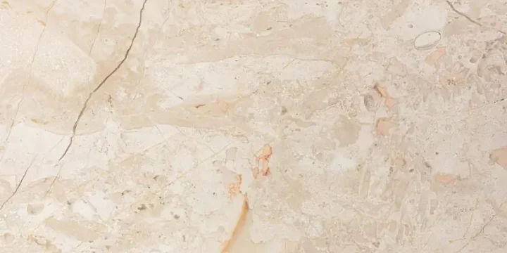 Crema Nouva Fossil